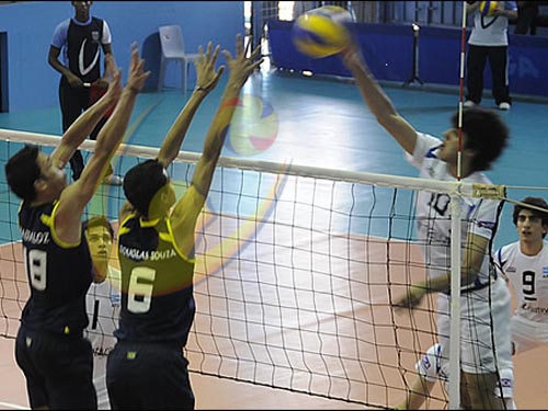 SUDAMERICANO PRE MENOR: ARGENTINA, A SEMIFINALES