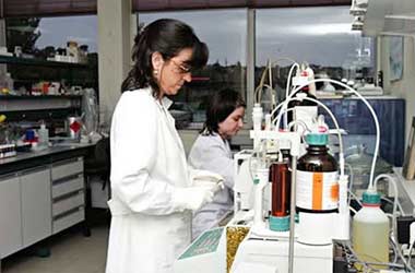 Cientificos Argentinos crean sopa en polvo a partir del suero de quesos