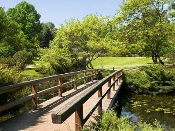 ¿Construís puentes o cercos a tu alrededor?