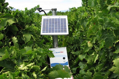 Tecnología espacial para conseguir la uva perfecta.