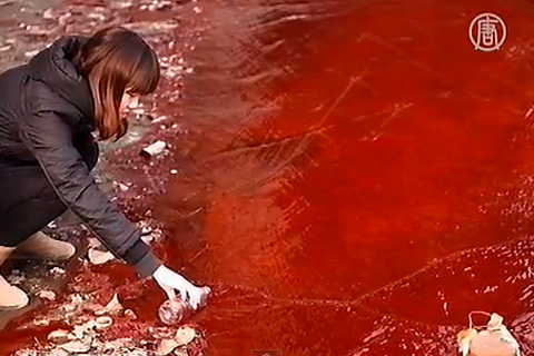 ¿Apocalipsis en China?: Un río se tiñe de sangre