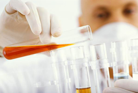 El top ten científico de 2011