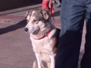 OPERATIVO VACUNACIÓN