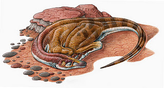 Un equipo de investigadores Argentinos y Brasileros descubren dinosaurio descansando como un ave